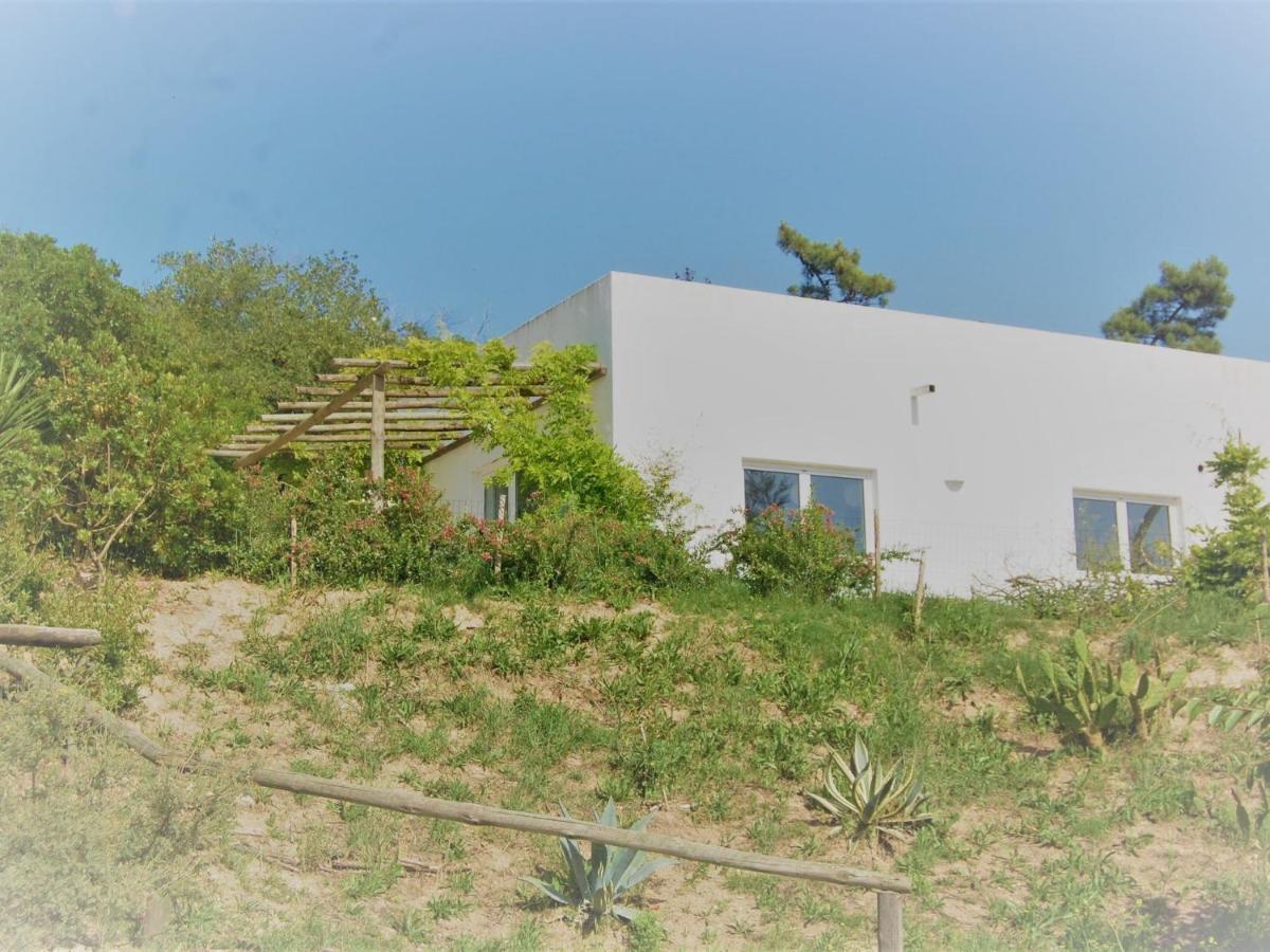 A Perfect Villa With Pool Terrace And Garden Alcobaça Dış mekan fotoğraf