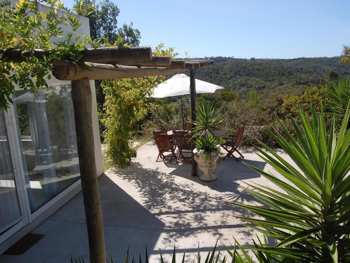 A Perfect Villa With Pool Terrace And Garden Alcobaça Dış mekan fotoğraf