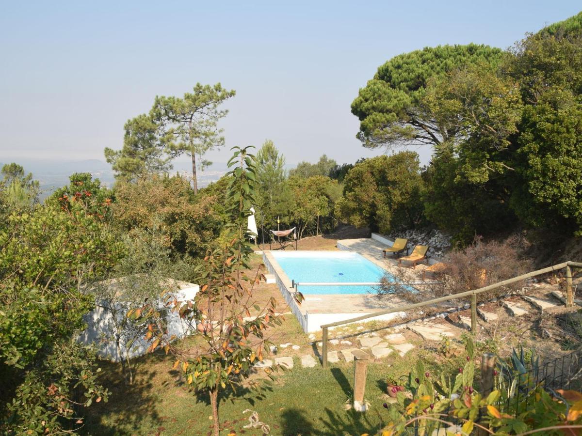 A Perfect Villa With Pool Terrace And Garden Alcobaça Dış mekan fotoğraf